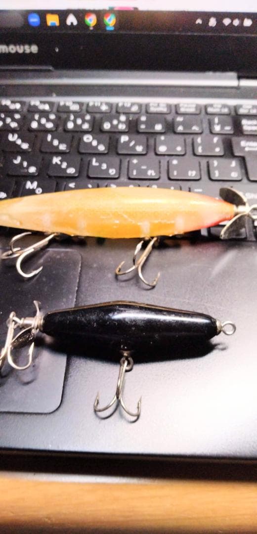 ルアー・フライ mots