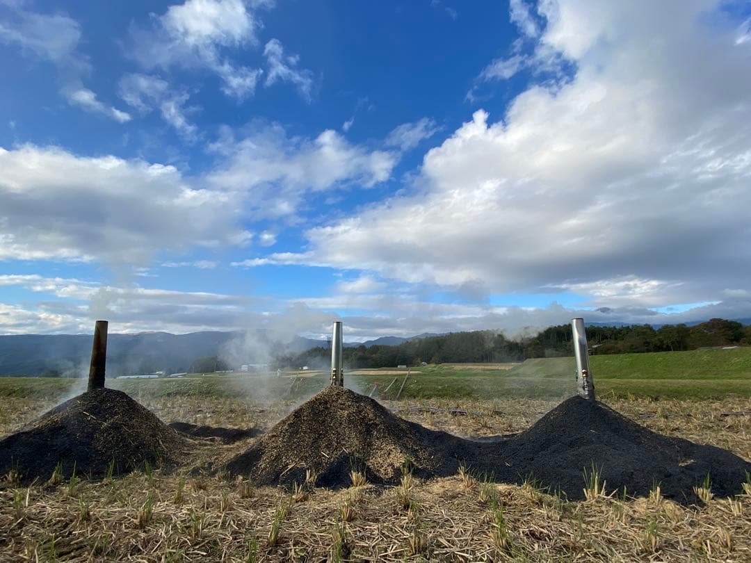 完全通年農薬不使用　令和7年度産うるち米こしひかり玄米　10kg