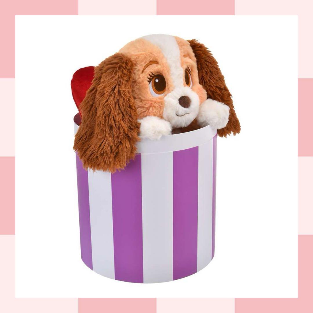 レディ ぬいぐるみ ボックス入り LADY AND THE TRAMP 70TH