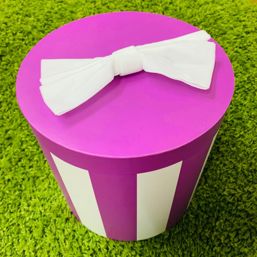 レディ ぬいぐるみ ボックス入り LADY AND THE TRAMP 70TH