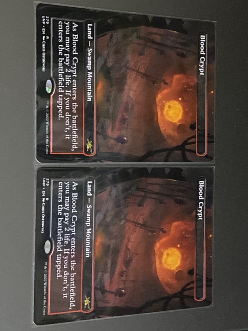 血の墓所　UNF 2枚セット　ボーダーレス