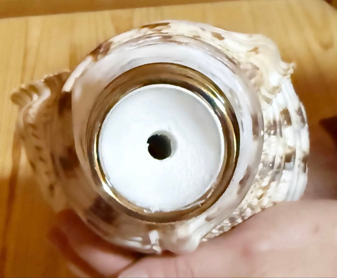 修験道法螺貝35㎝　山伏　密教　魔除け　熊よけ❣️ホラガイ　ほら貝