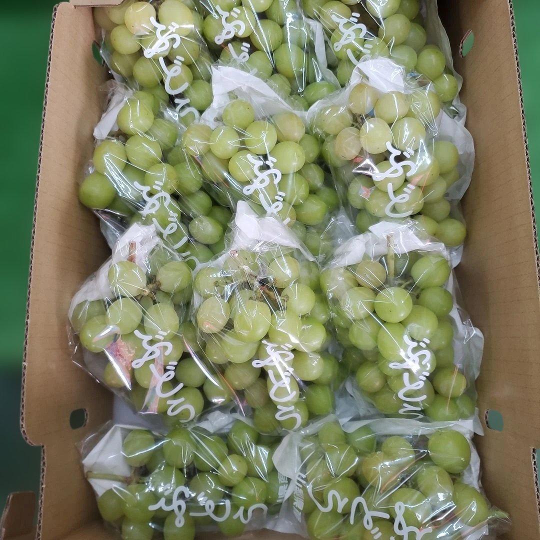 5️⃣ 山梨県産 シャインマスカット １１房入り 箱込み5.4キロ