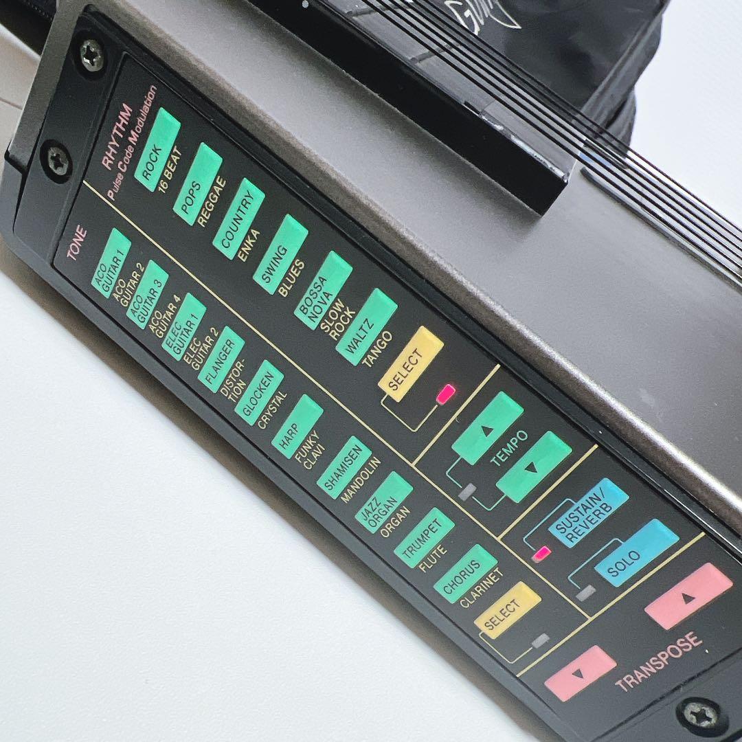 【美品】CASIO DG-20 デジタルギター　カシオ　シンセギター