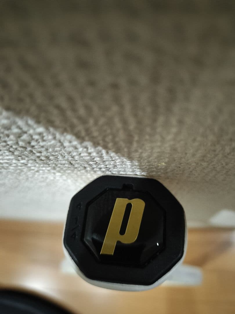 現行　ザイロン搭載モデル　エンブレム 120 プリンス　テニスラケット