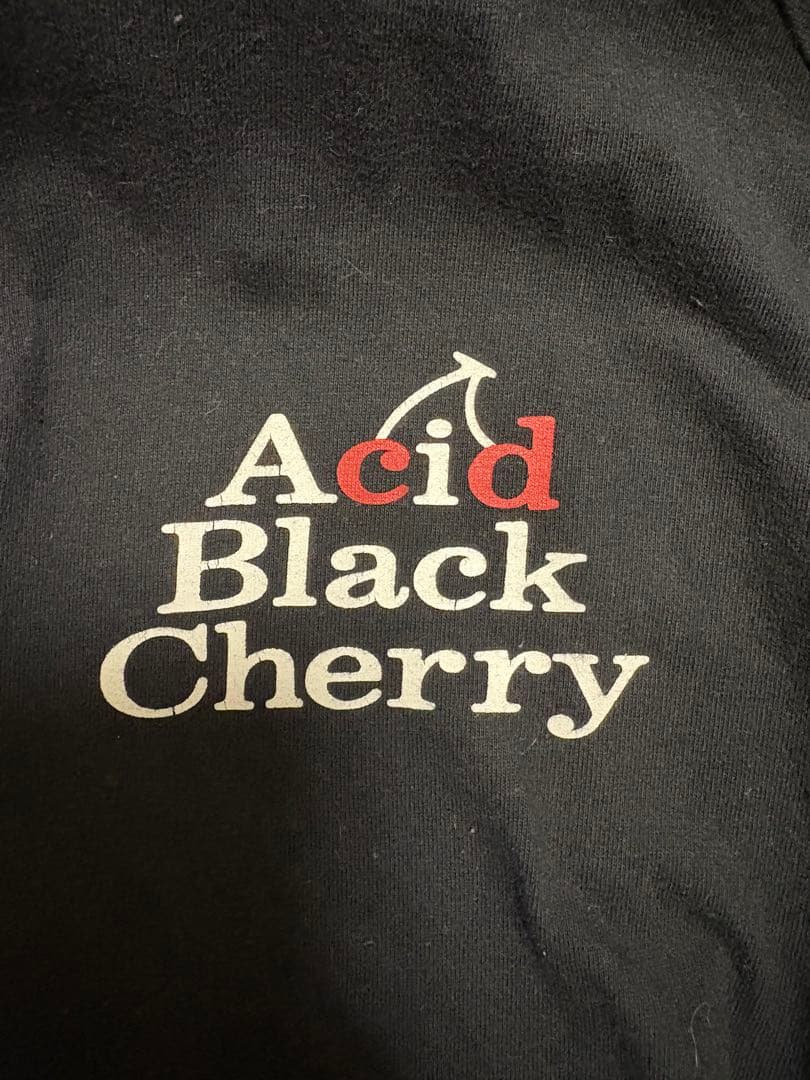 (美品)Acid Black Cherry パーカー＆サルエルセット