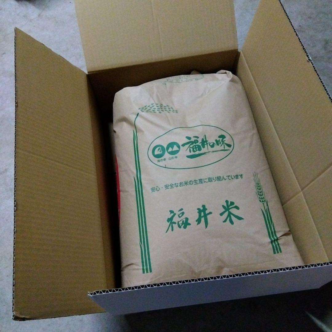 新米 令和７年 華越前 玄米 箱袋体込み30kg　送料込み