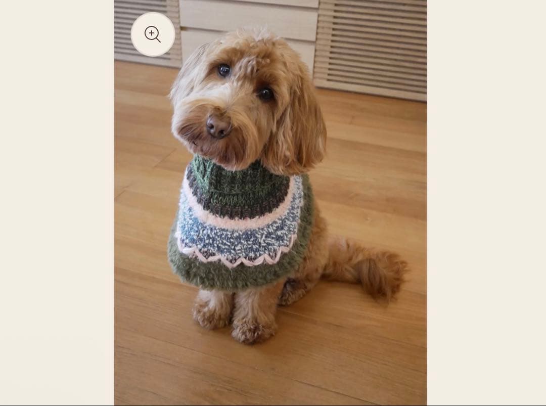 【完売品】multi × mellowbear ニットポンチョ