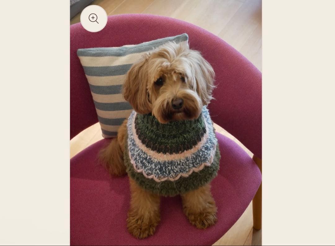 【完売品】multi × mellowbear ニットポンチョ