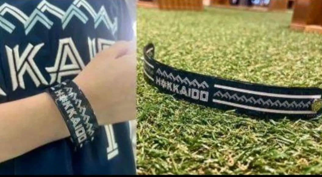 北海道日本ハムファイターズ 受注販売　2025レプリカユニフォームMサイズ