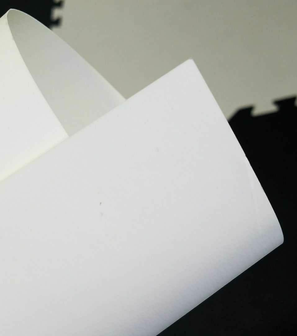 ジョジョ展 ポスター ALL-STAR:B 空条徐倫 カーズ DIO 荒木飛呂彦