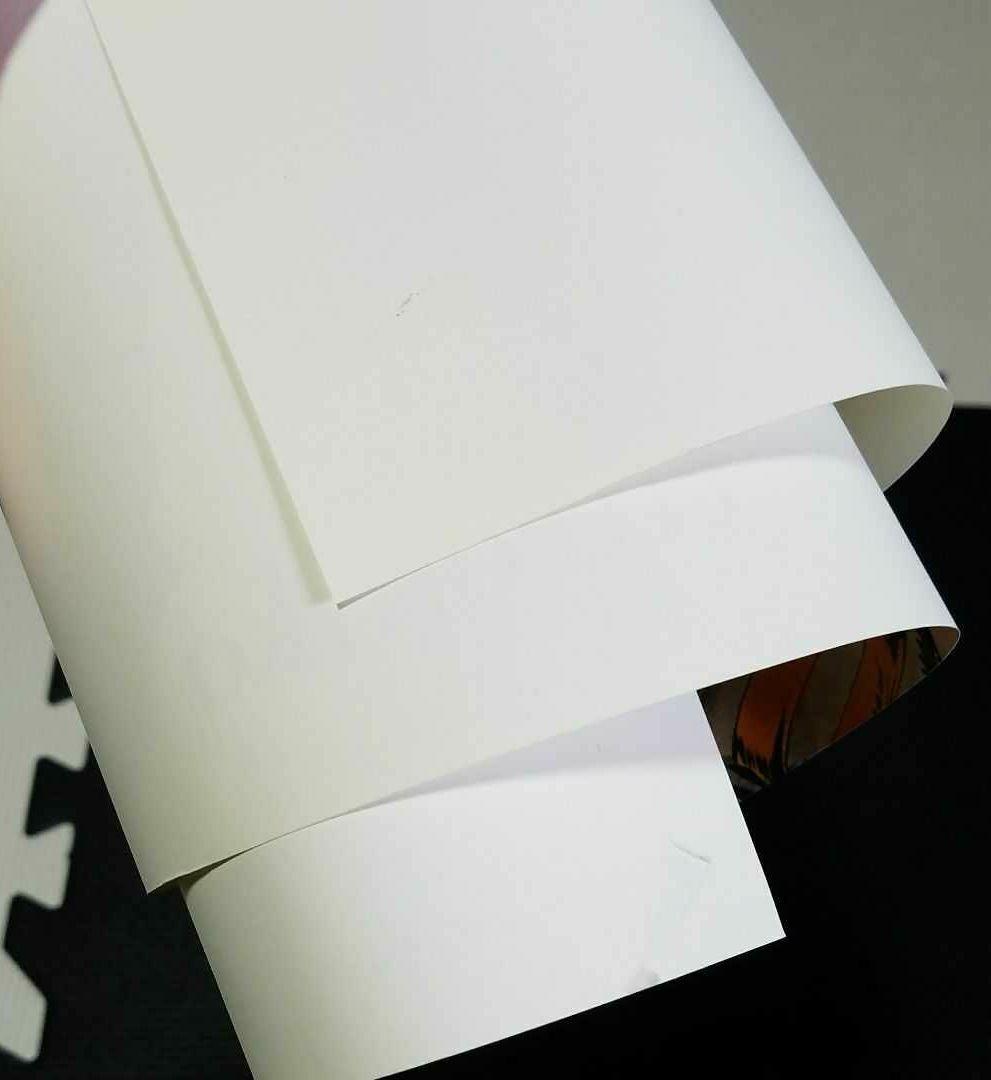 ジョジョ展 ポスター ALL-STAR:B 空条徐倫 カーズ DIO 荒木飛呂彦