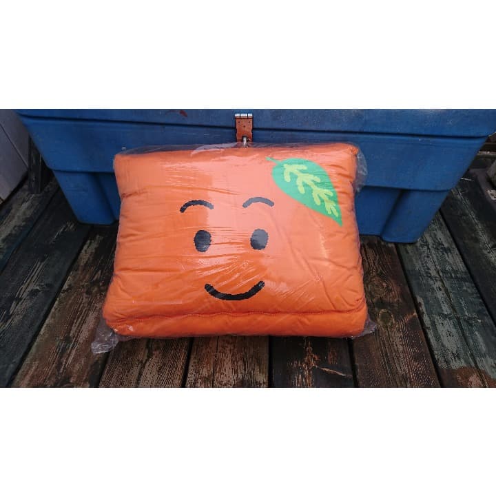 【非売品】なっちゃん ごろ寝マット