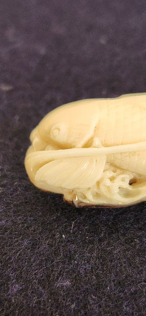 a*i様 帯留め‥白珊瑚