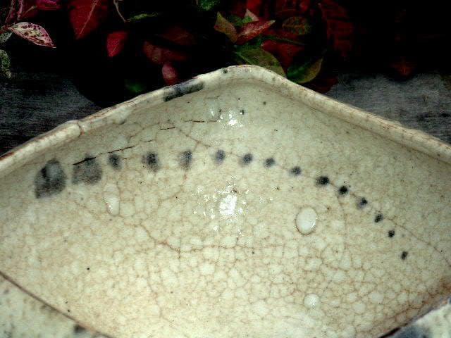 ♥絵志野　鉢　木箱付き　志野　建水　骨董品