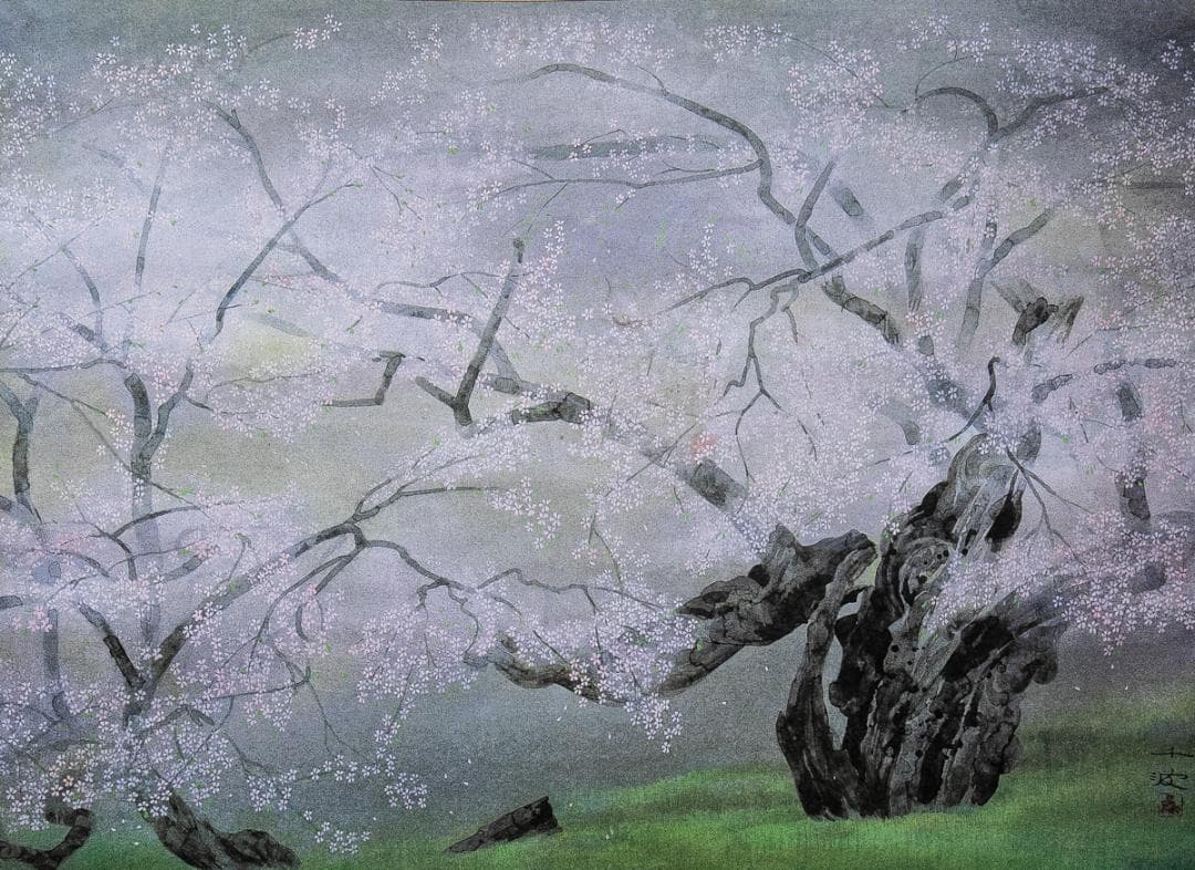 掛軸-1596　中島千波　臥龍桜　印刷工芸作品　共同印刷　岩絵具式複製画