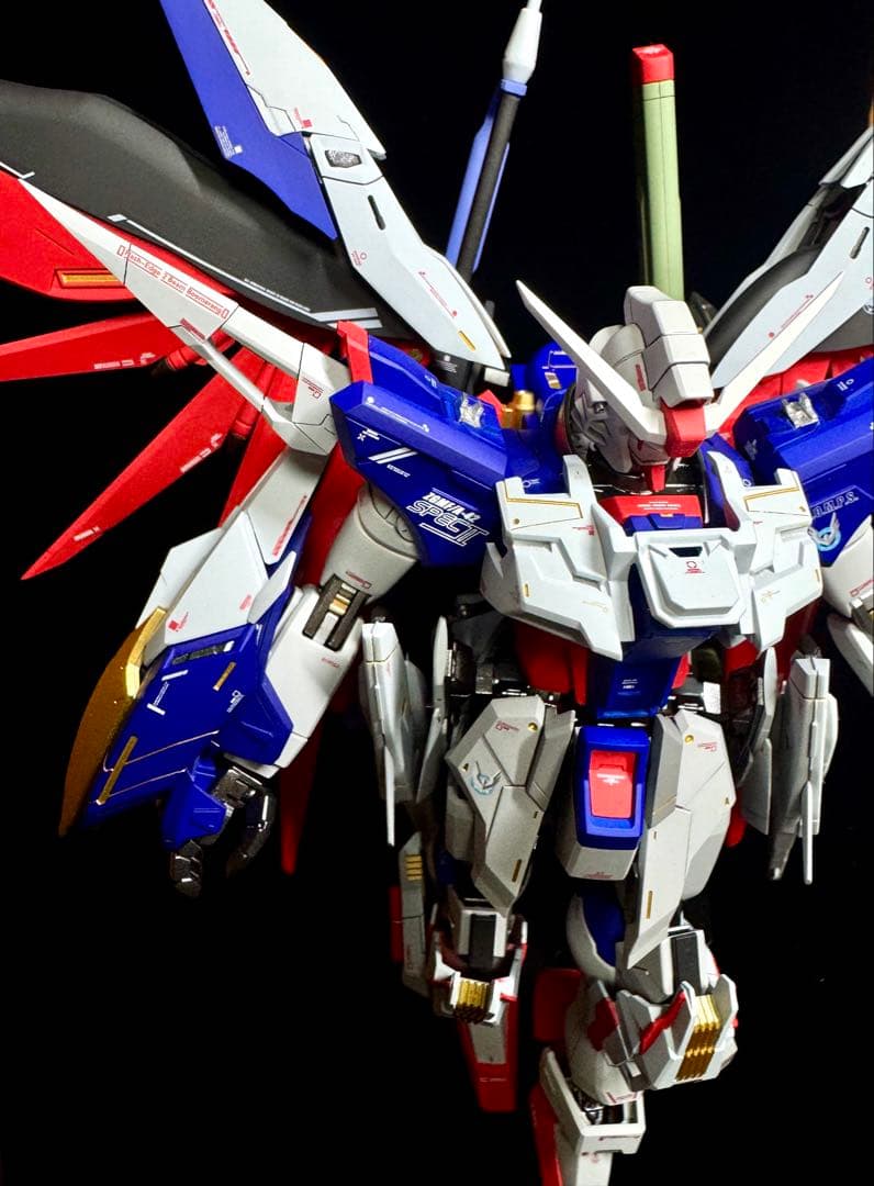 ゆ*】様 【ミキシング全塗装】MG デスティニーガンダム SpecⅡ