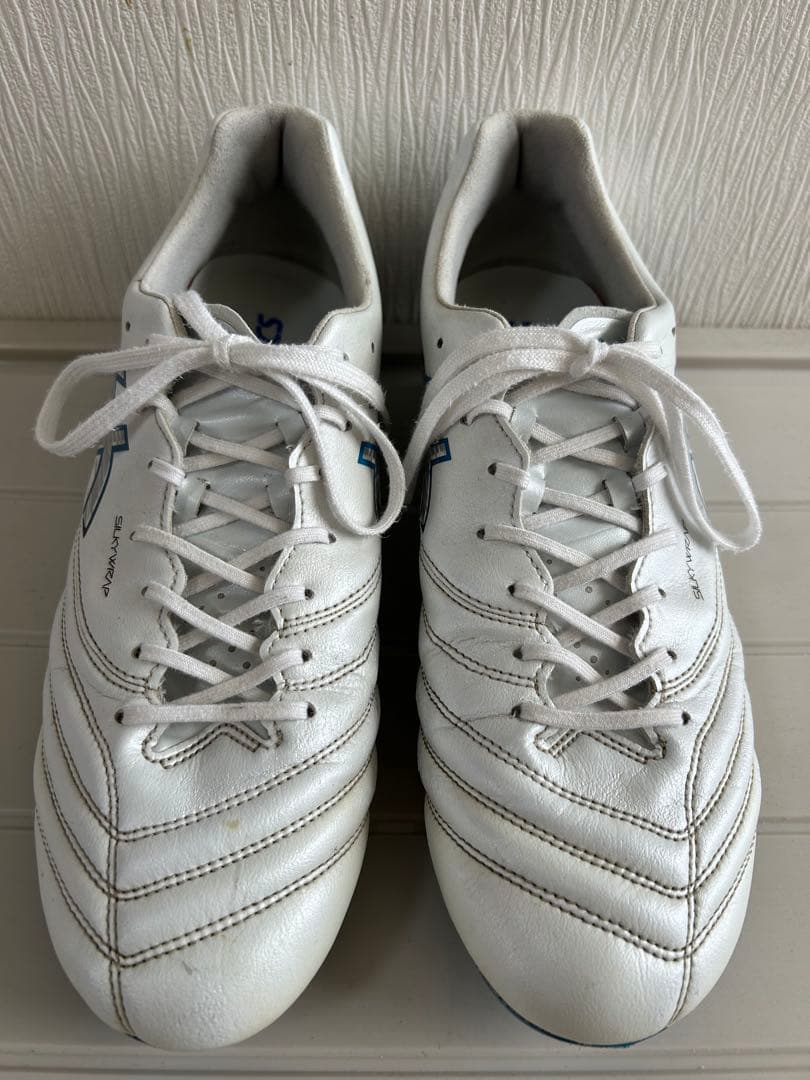 【ASICS DS LIGHT X-FLY PRO 3】28.0cm