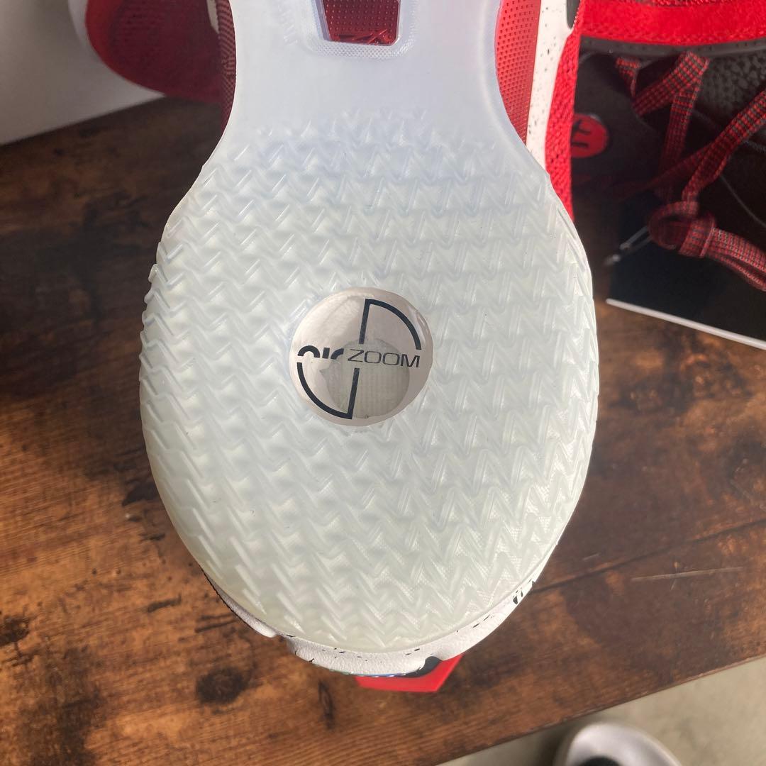 【新品•未使用】Hachimura × Nike Air Jordan36