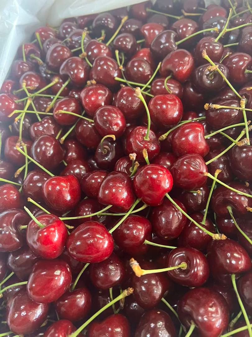オーストラリア産チェリー5kg 大号