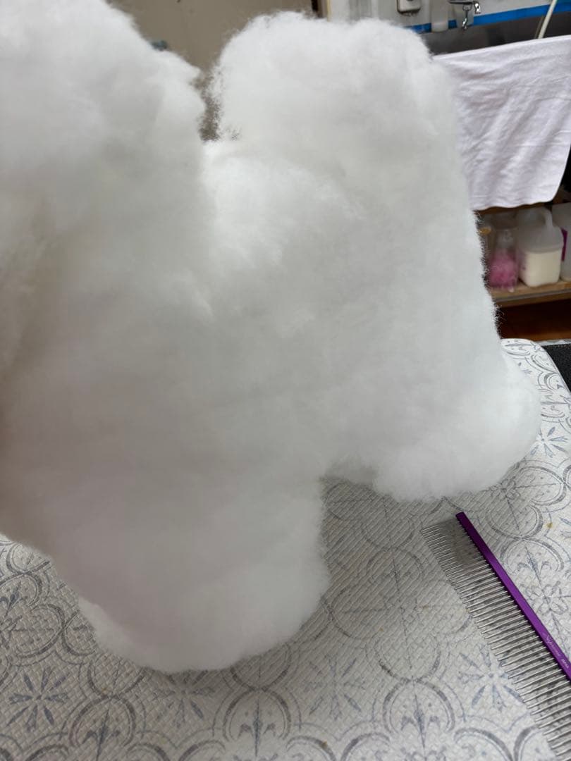 トリミング練習　全身用マネキン　RIKEIプードル　全身用プードルウィッグセット