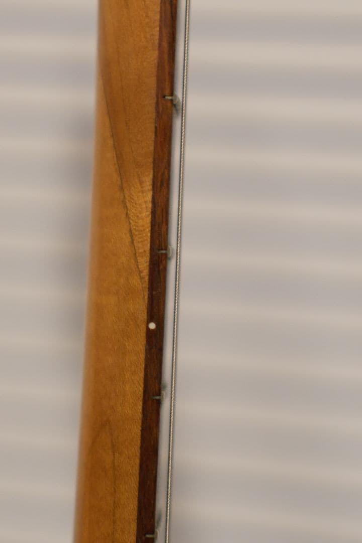 エレキギター 　Fernandes FGZ