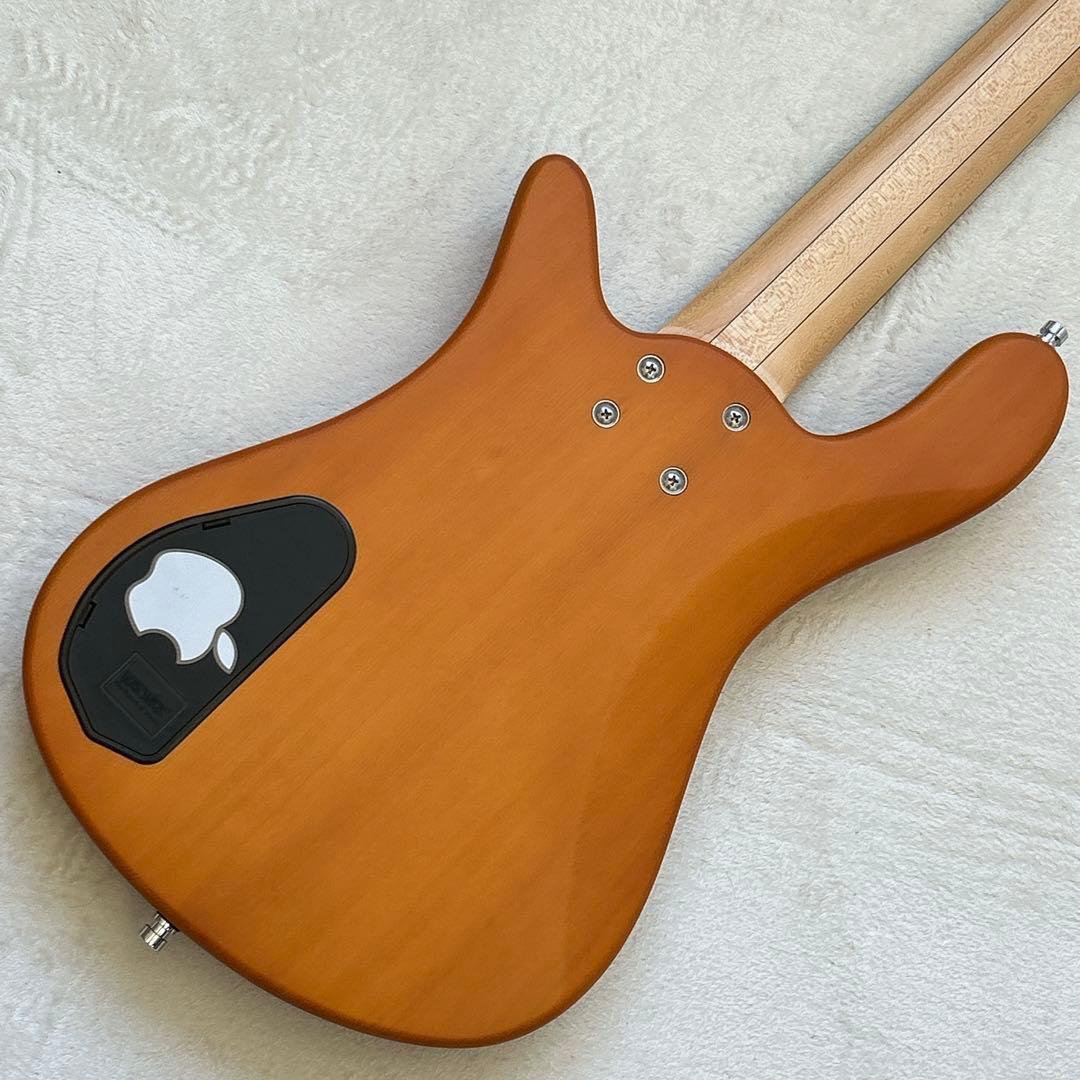 Warwick Rock Bass Streamer 5弦 ベース ワーウィック