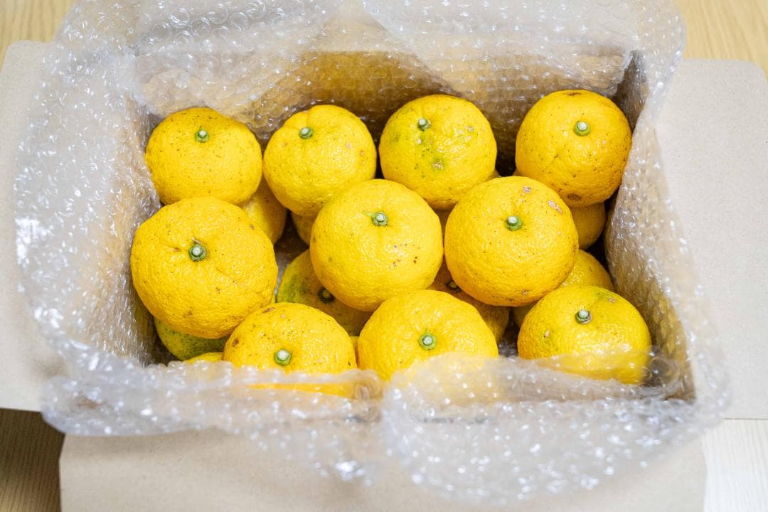 高知県北川村産本柚子約20kg　農薬：栽培期間中不使用