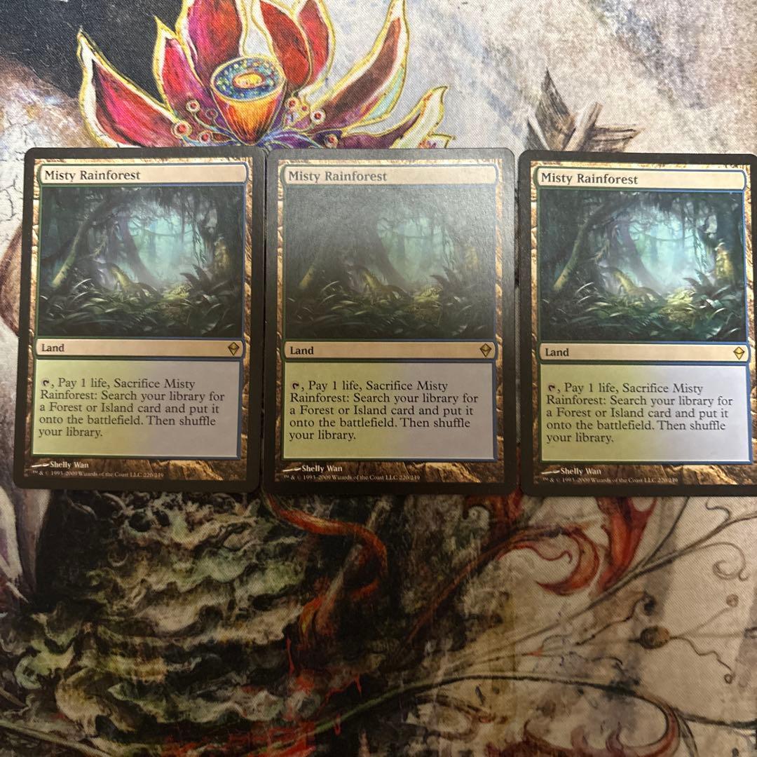 霧深い雨林 3枚セット