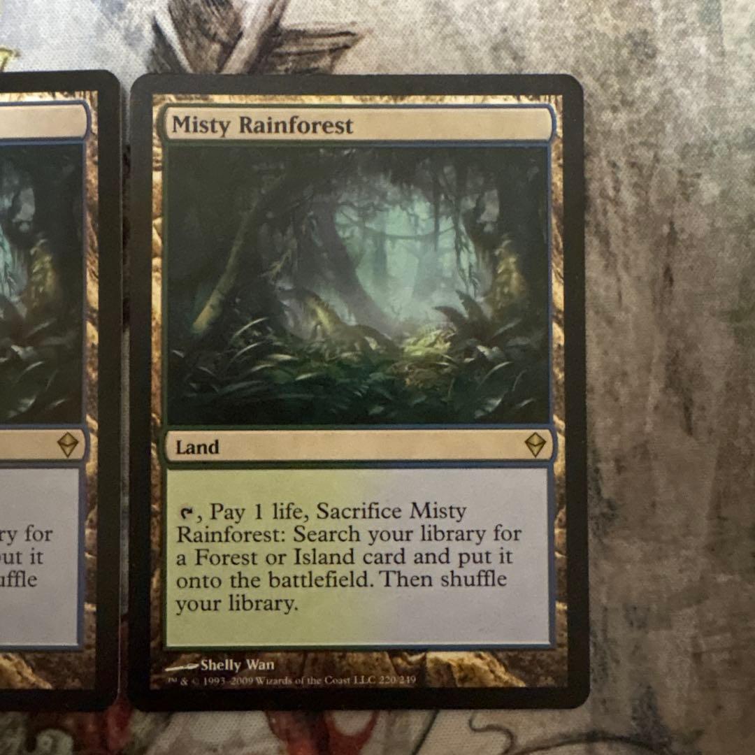 霧深い雨林 3枚セット