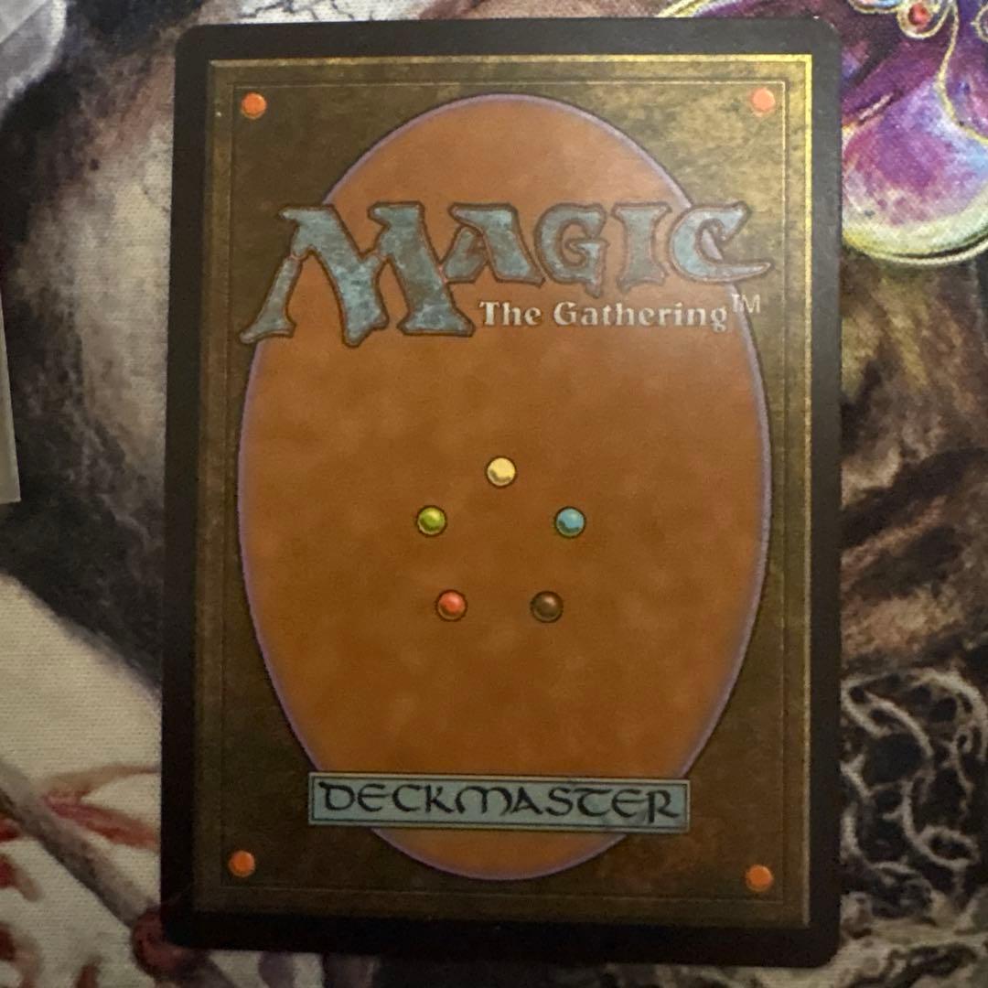 霧深い雨林 3枚セット