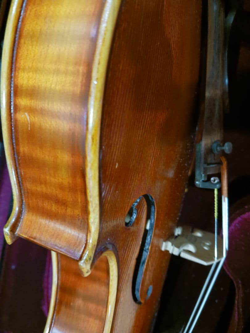 Ferenc Bela Vaci CDM-R 2006 バイオリン 中古