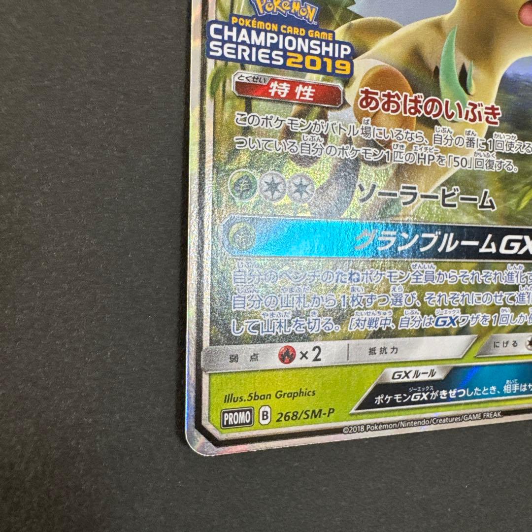 リーフィアGX：「チャンピオンシップシリーズ2019」 PROMO SM-Pプ…