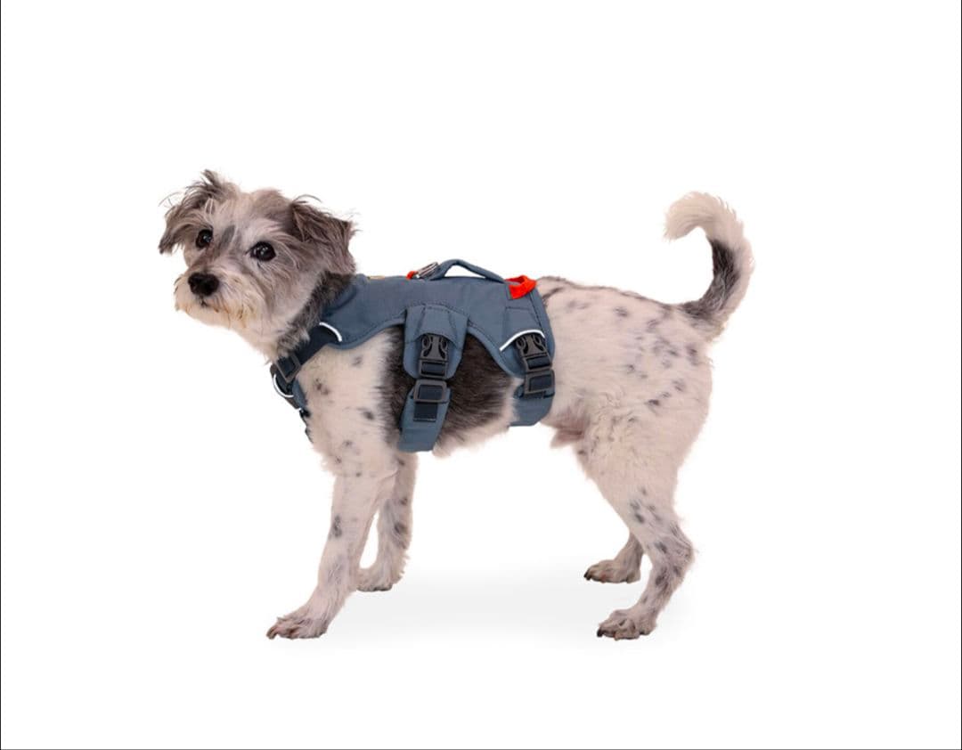 RUFFWEAR　ウェブマスタードッグハーネス