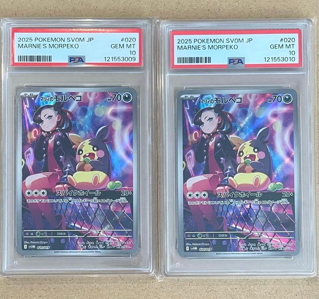 マリィのモルペコ スターターセット AR PSA10 ポケモンカード 鑑定品