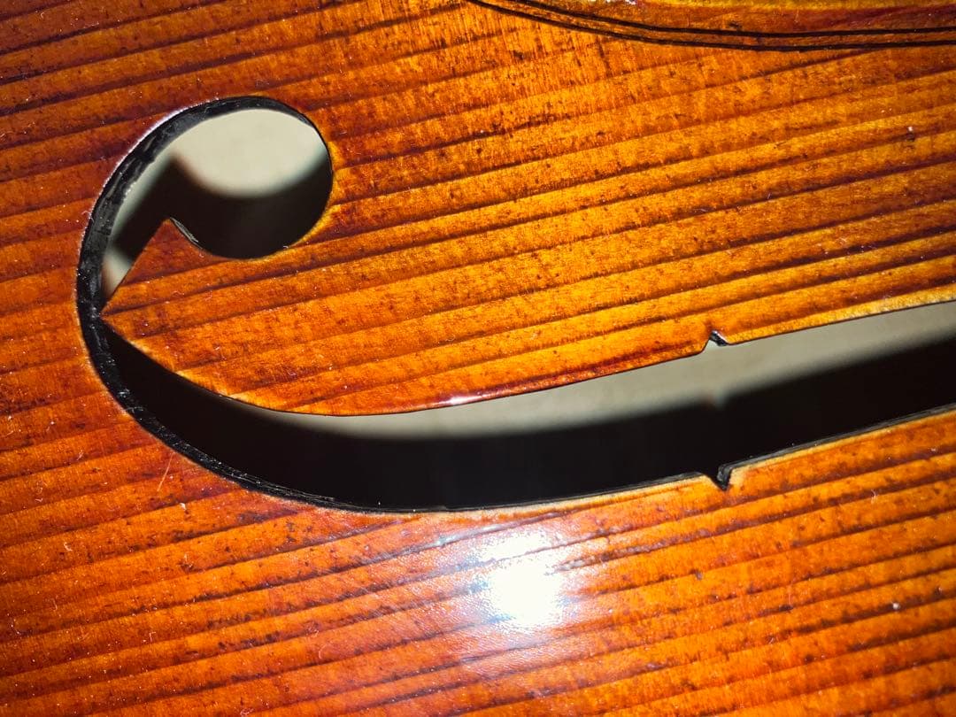 チェロ　Buono PROFONDO