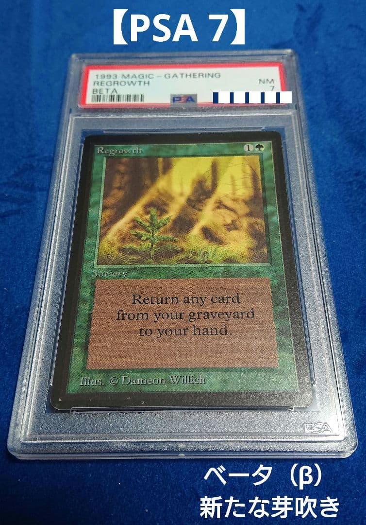 【PSA7 NM】MTG ベータ（β） 英語 新たな芽吹き 鑑定品