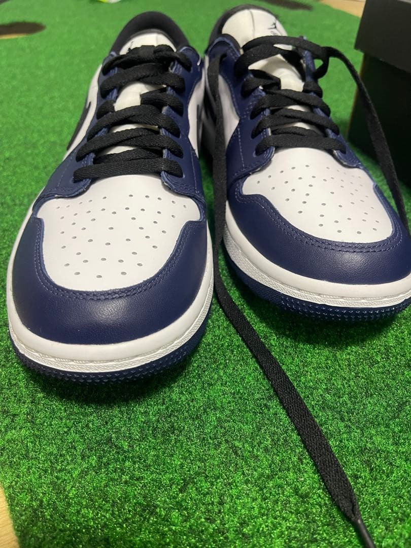 【ぞうさん】Nike Air Jordan 1 ゴルフスニーカー