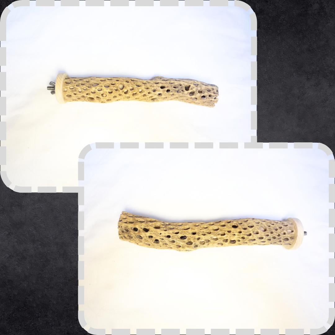 鳥用品　止まり木　カクタス　スケルトン　パーチ　特大No.217