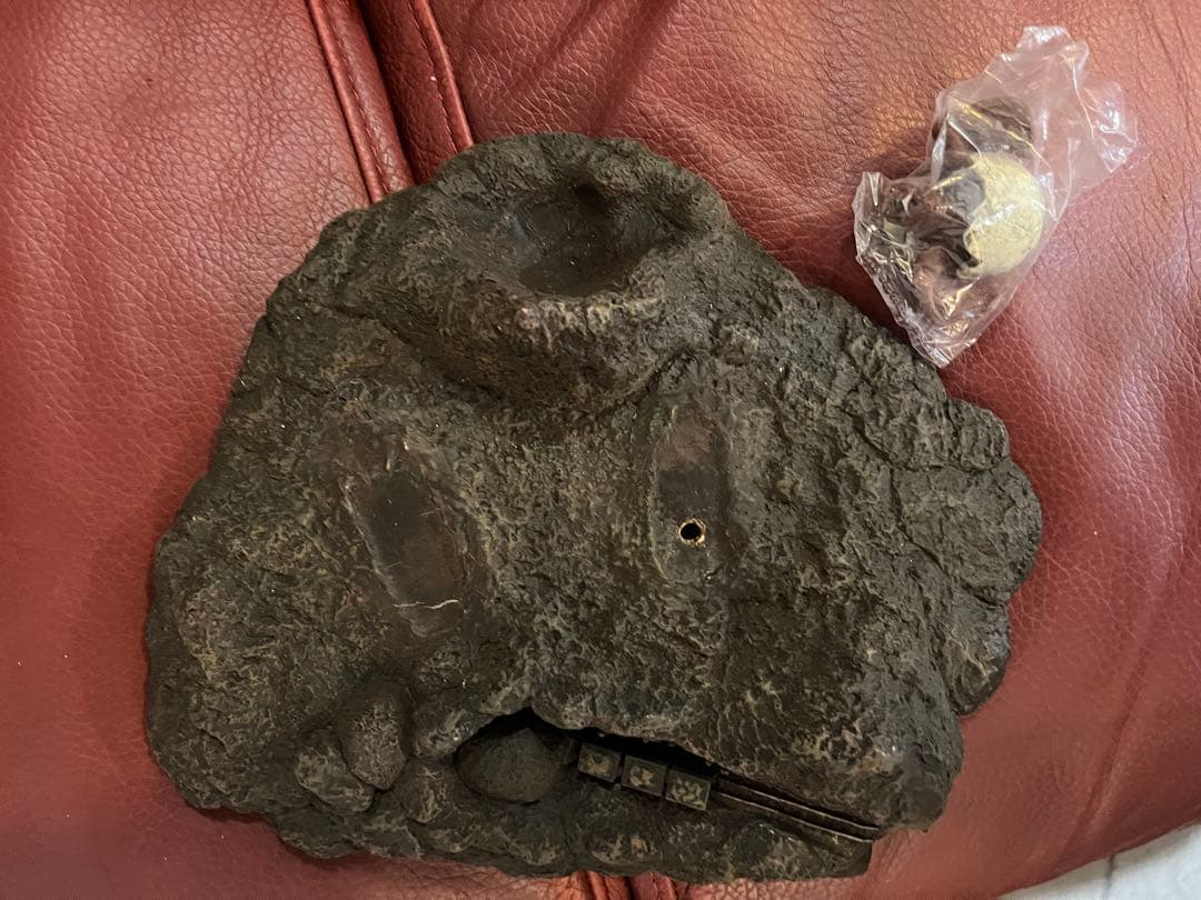 巨大リアルフィギュア ラドン (空の大怪獣ラドン) ユニファイブ