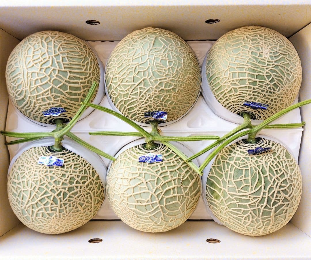 C*a様 高知産　温室マスクメロン　６玉　約９，０Kｇ　A品　北海道沖縄発送不可