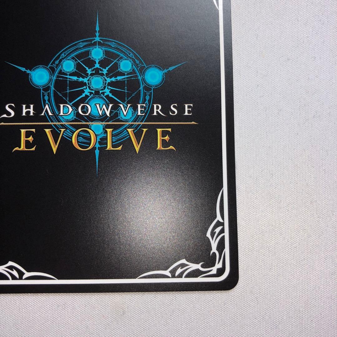 ヒシミラクル ssp サイン エボルヴ