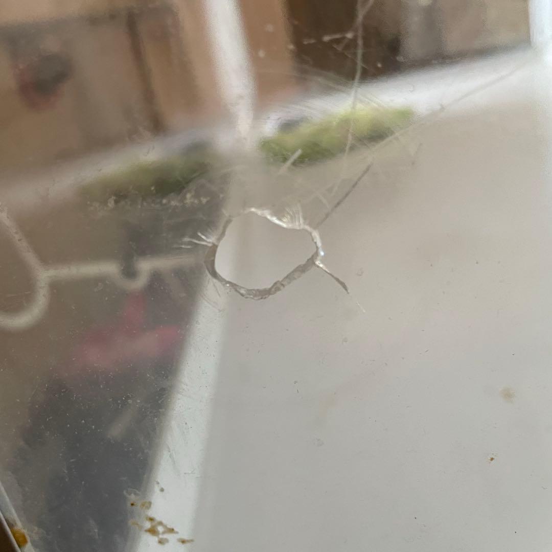 ★今だけ送料込み★BUCATSTATE アクリル ケージ 100センチ 小動物