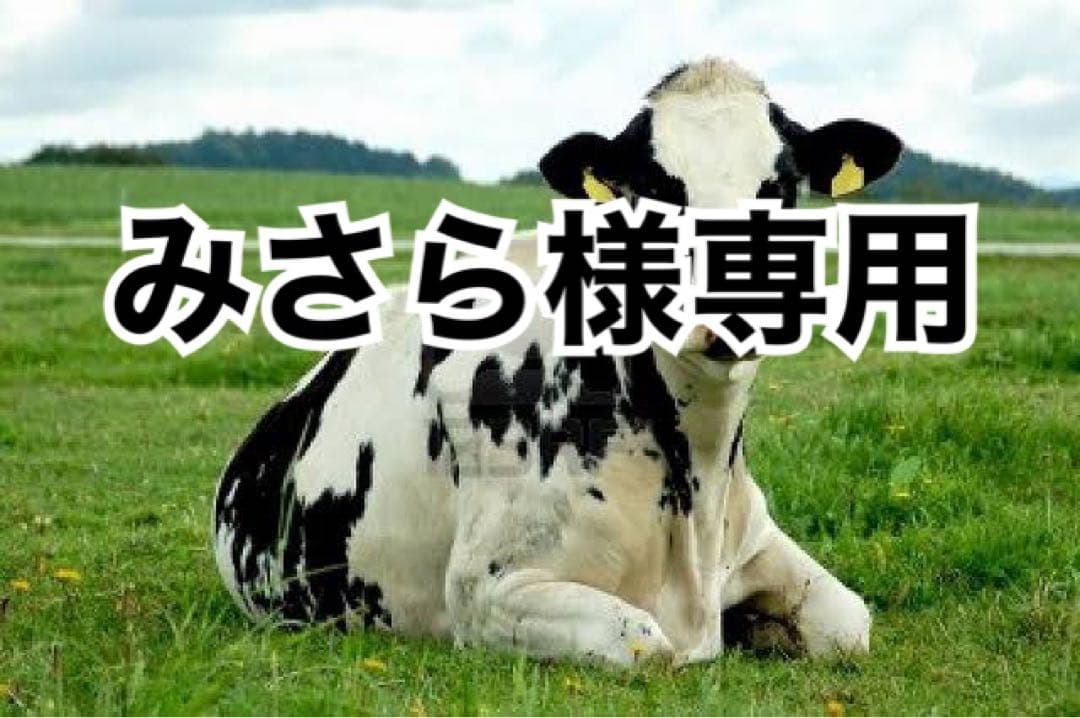 キャメル10、タン薄10、タン濃10、ブルー芯白8