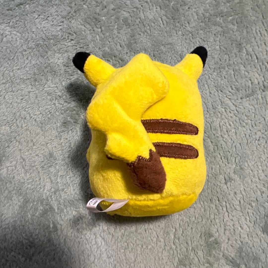 24じかんポケモンchu ナガノ ピカチュウ