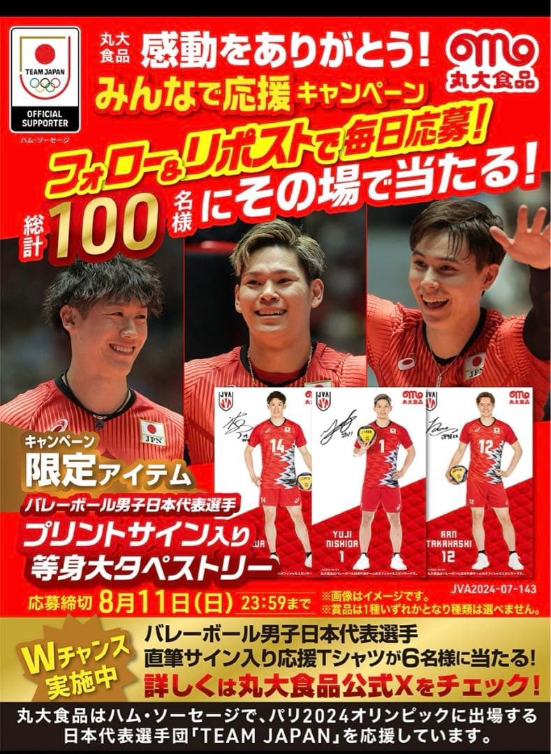 石川祐希選手等身大タペストリー　希少！新品未使用　バレーボール男子