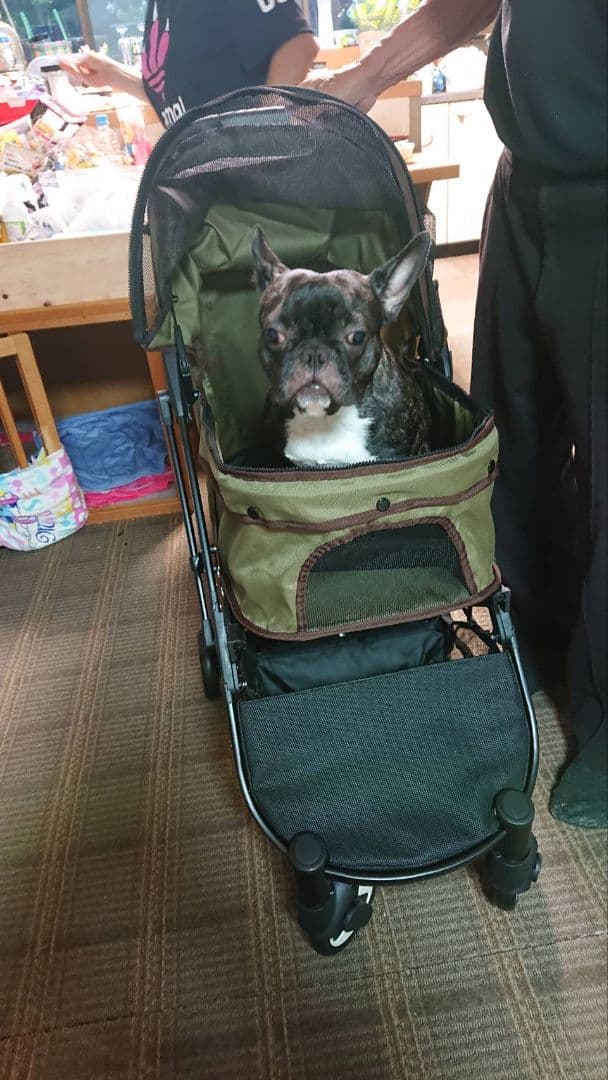 ☆つばちゃん☆ペット用カート ピッコロカーネ ベーネ モスグリーンカラー