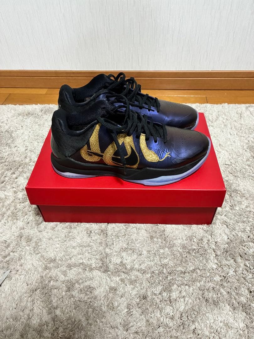 コービー5プロトロ