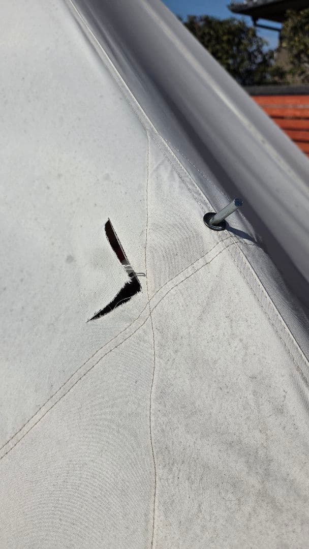 ノルディスク　アズガルド12.1