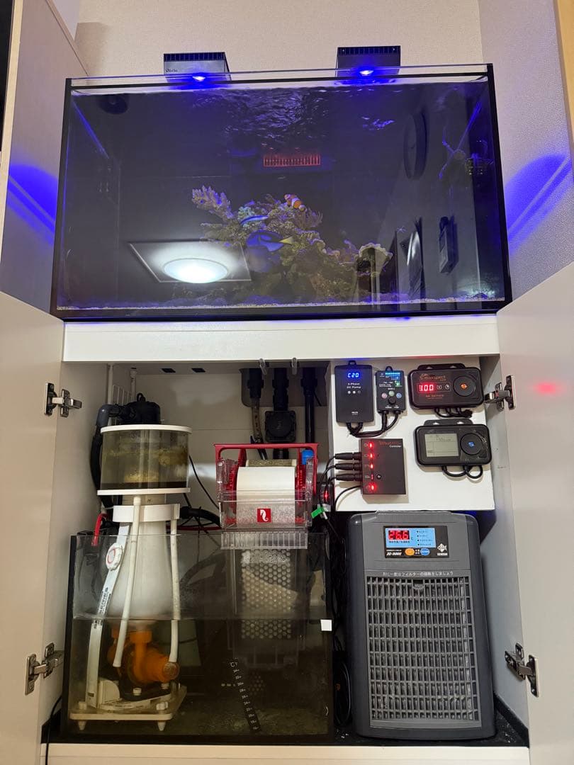 Red Sea 250 水槽水槽台濾過槽のみ